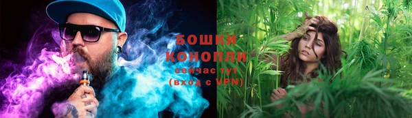 ECSTASY Инсар