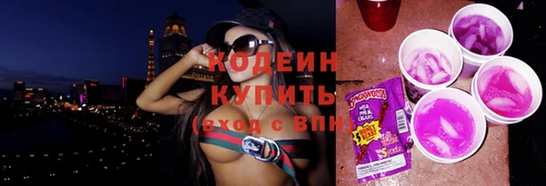 МДПВ Иннополис