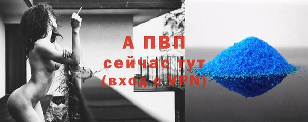 ECSTASY Инсар