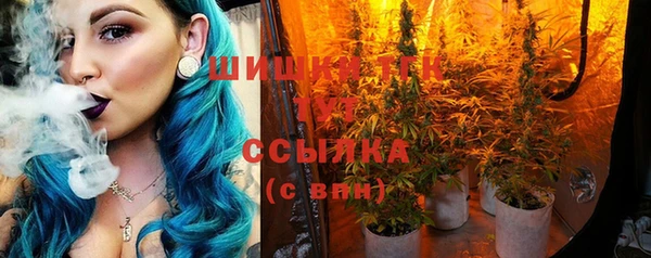 ECSTASY Инсар