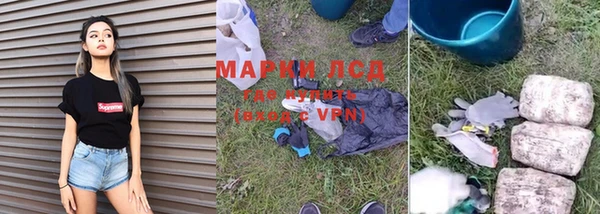 apvp Инта
