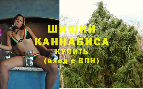 ECSTASY Инсар