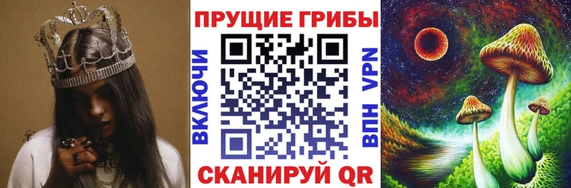 Псилоцибиновые грибы Magic Shrooms  Купить закладки  Артёмовский 